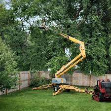 Best Aeration Services  in Rineyville, KY