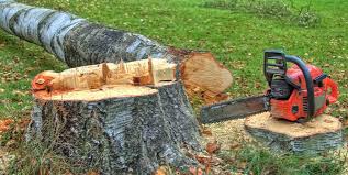 Best Firewood Processing and Delivery  in Rineyville, KY
